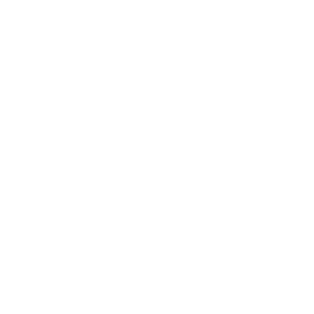 Kompelys